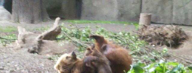 Tierpark Hagenbeck is one of HAMBURG Sightseeing.