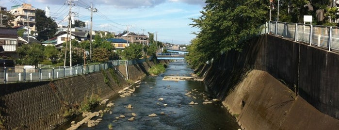 鶴舞橋 is one of 帷子川に架かる橋と周辺の公園・史跡.