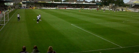 Plainmoor Stadium is one of Stadia I have been in.