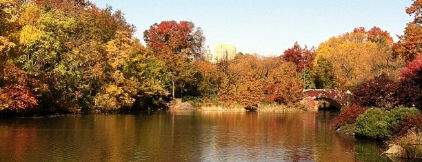 The Pond is one of Central Park🗽.