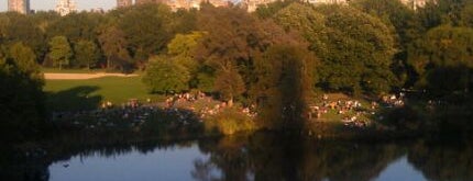 Центральный парк is one of New York City.