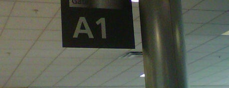 Gate A1 is one of Hartsfield-Jackson International Airport.