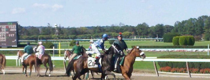 Belmont Park Racetrack is one of Long Island Adventures!.