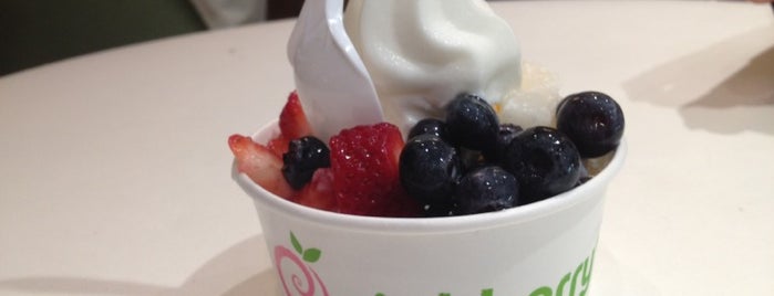 Pinkberry is one of We all scream for ice cream!.