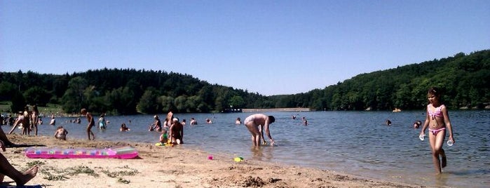 Hostivařská pláž is one of Swimming.