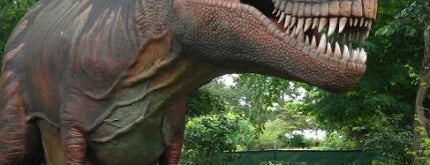 Woodland Park Zoo Dinosaur Exhibit is one of Favorite Arts & Entertainment.