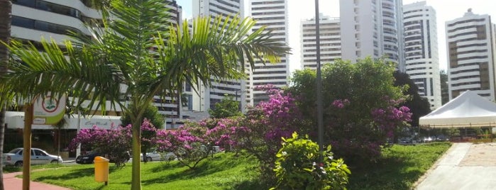 Praça Aquarius is one of Marcos’s Liked Places.