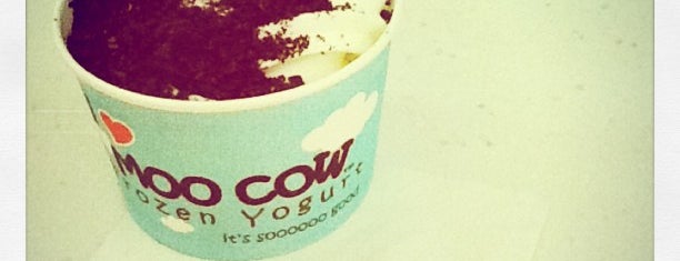 Moo Cow Frozen Yogurt is one of Dessert Places in Town.