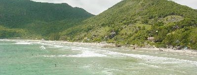 Praia do Matadeiro is one of Floripa Golden Isle.