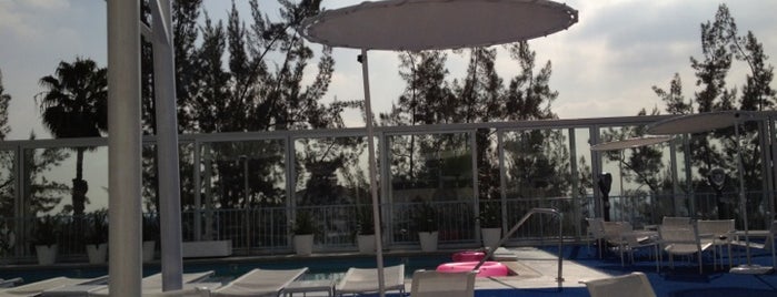 Pool at The Standard, Hollywood is one of LA and beach cities as a local.
