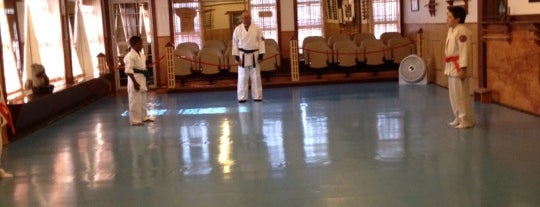 International Aikido is one of Aikido Dojos.