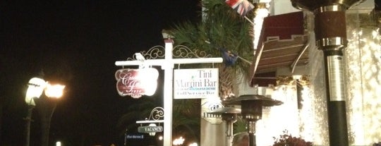 The Tini Martini Bar is one of St. Augustine Tourist Spots to See.