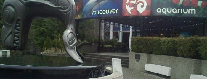 Vancouver Aquarium is one of My BEST of the BEST!.