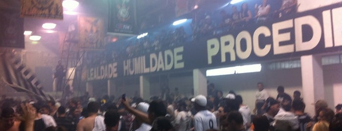 Grêmio Gaviões da Fiel Torcida is one of São Paulo Hot Points.