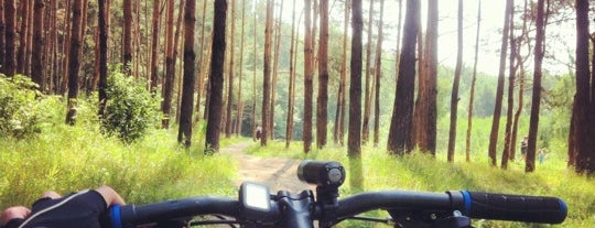 Дубравный лес is one of Posti che sono piaciuti a Oksana.