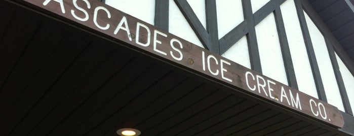 Cascades Ice Cream Co. is one of Jackson is Pure Michigan.