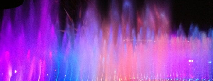 World of Color is one of Disney California Adventure.