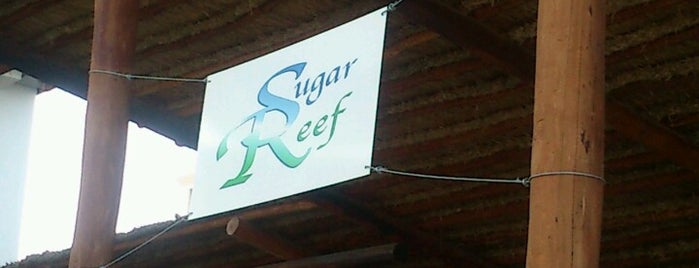 Sugar Reef Bar is one of Secrets The Vine Cancún.