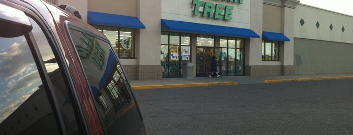 Dollar Tree is one of Harry’s Liked Places.