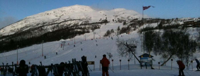 Hovden Skisenter is one of norway in not quite a nutshell (part one).
