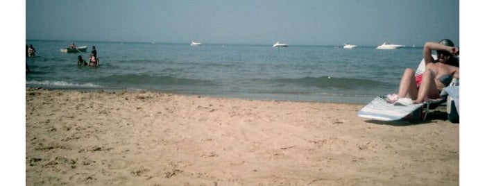 Kathy Osterman (Hollywood) Beach is one of Free Things in Chicago.