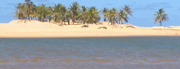 Foz do Rio São Francisco is one of Litoral Alagoano.