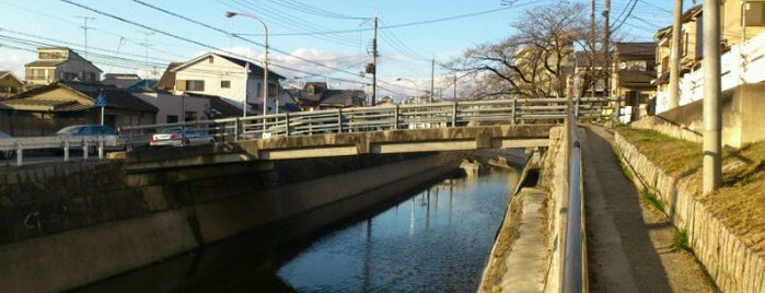 御所之橋 is one of 鴨川運河(琵琶湖疎水)に架かる橋.