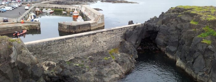 Portstewart Harbour is one of Miaさんのお気に入りスポット.