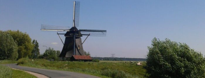 Oostzijdse Molen / Delphine is one of Dutch Mills - North 1/2.