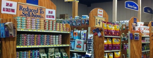 Gulf Coast Equine And Feed Store is one of Davidさんのお気に入りスポット.