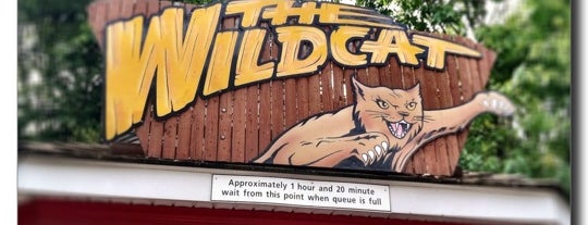 Wildcat is one of Hersheypark.