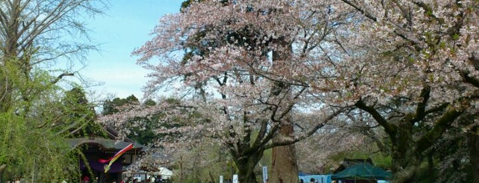 弘経寺 is one of 茨城県 / Ibaraki.