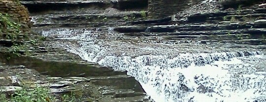 Stony Brook State Park is one of not all those who wander are lost.