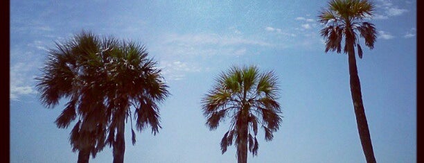 Clearwater Beach, FL is one of Things to do in Tampa Bay.