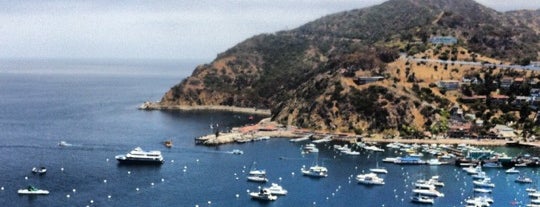Santa Catalina Island is one of Things to do in LA.
