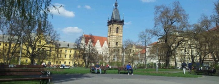 Karlovo náměstí is one of สถานที่ที่บันทึกไว้ของ Fabio.
