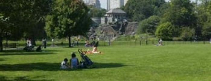 Great Lawn is one of NYC to do.
