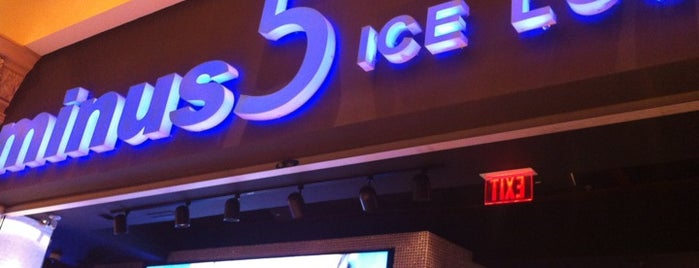 Minus5° Ice Lounge is one of Vegas Places with Check-In Deals.