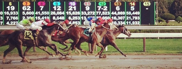 Saratoga Race Course is one of Best of Saratoga Springs, NY.