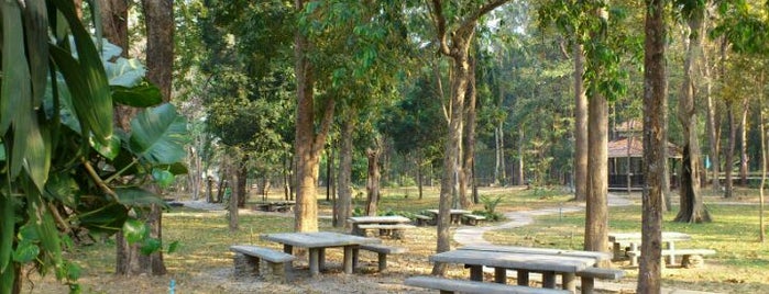 Huay Kaew Arboretum is one of Lugares favoritos de Bianca.