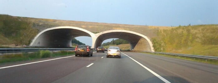 Ecoduct Hoog Buurlo is one of Bridges in the Netherlands.
