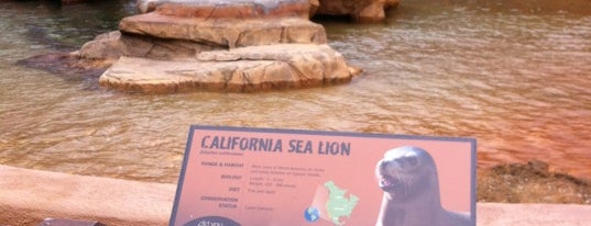 Sea Lion Pavilion is one of MarQさんのお気に入りスポット.