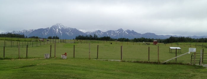 Musk Ox Farm is one of Best Spots in Anchorage.