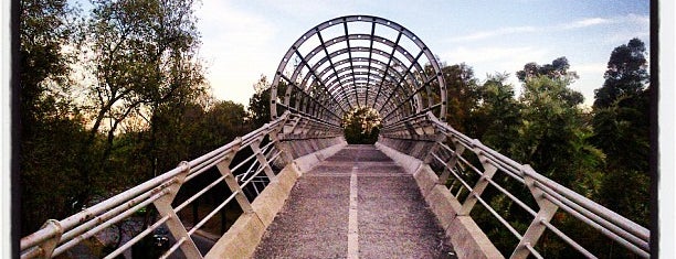 Ciclopista y Alencastre is one of Orte, die Maria Isabel gefallen.