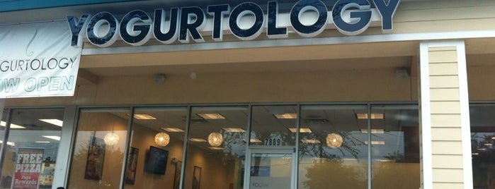 Yogurtology is one of Tampa Mainstays.