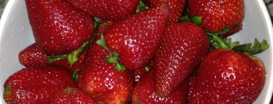 Venice Farmers Market is one of The 15 Best Places for Strawberries in Los Angeles.