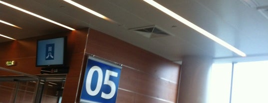 Выход 5 / Gate 5 (D) is one of SVO Airport Facilities.