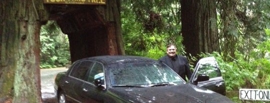 Redwood National Park is one of National Parks.