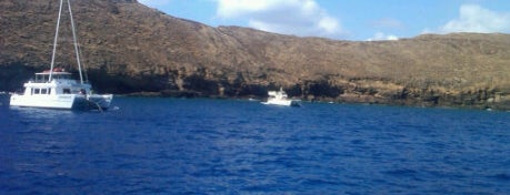 Molokini Crater is one of Places to Visit: Maui, HI.