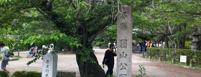 Maruyama Park is one of Cindy : понравившиеся места.